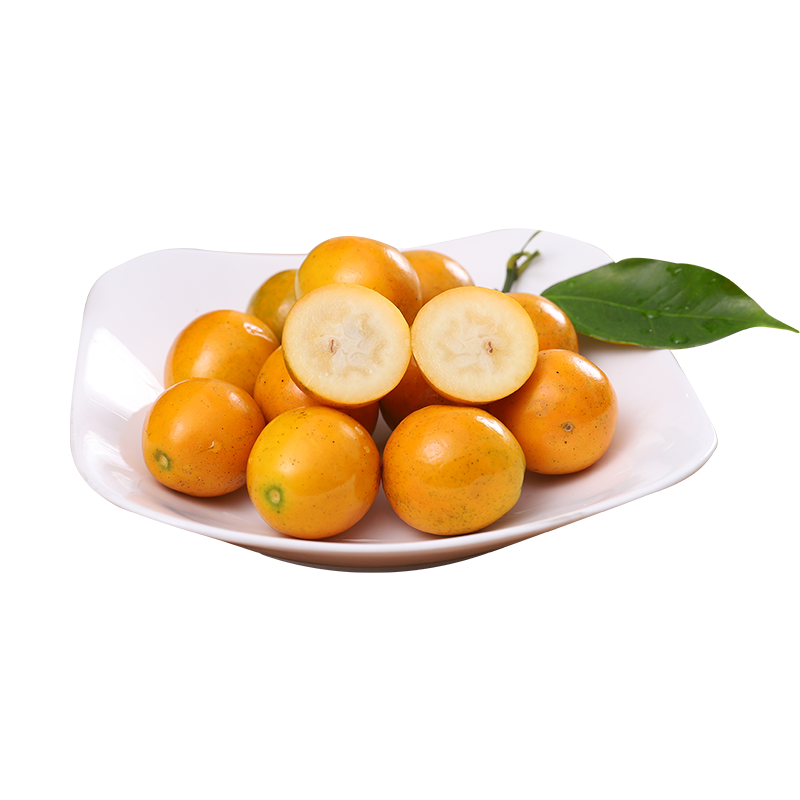 ̽ζ�� ������ƤС���  �й� ����1.8-2�� Լ45��/�� 10.7Ԫ(����ȯ)