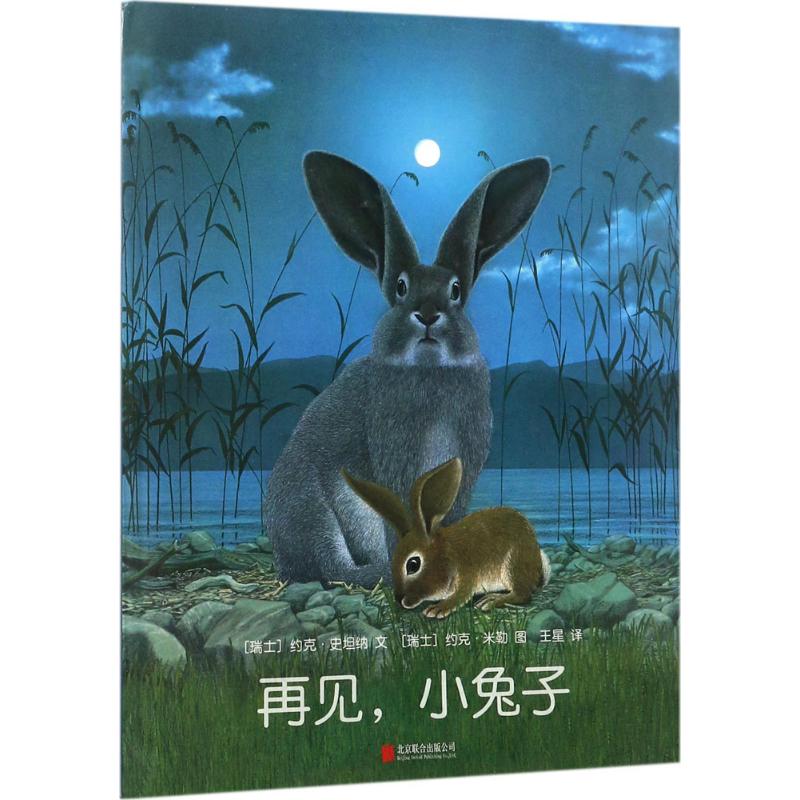 再见,小兔子 书籍