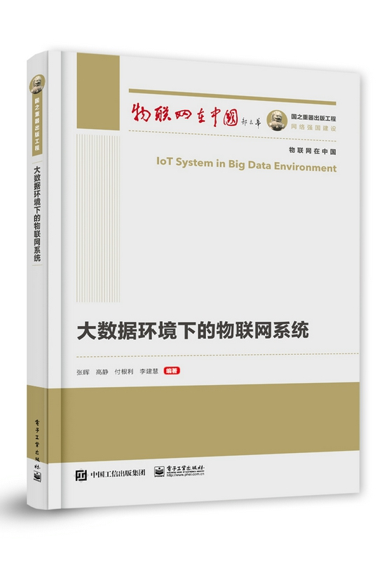 国之重器出版工程 大数据环境下的物联网系统