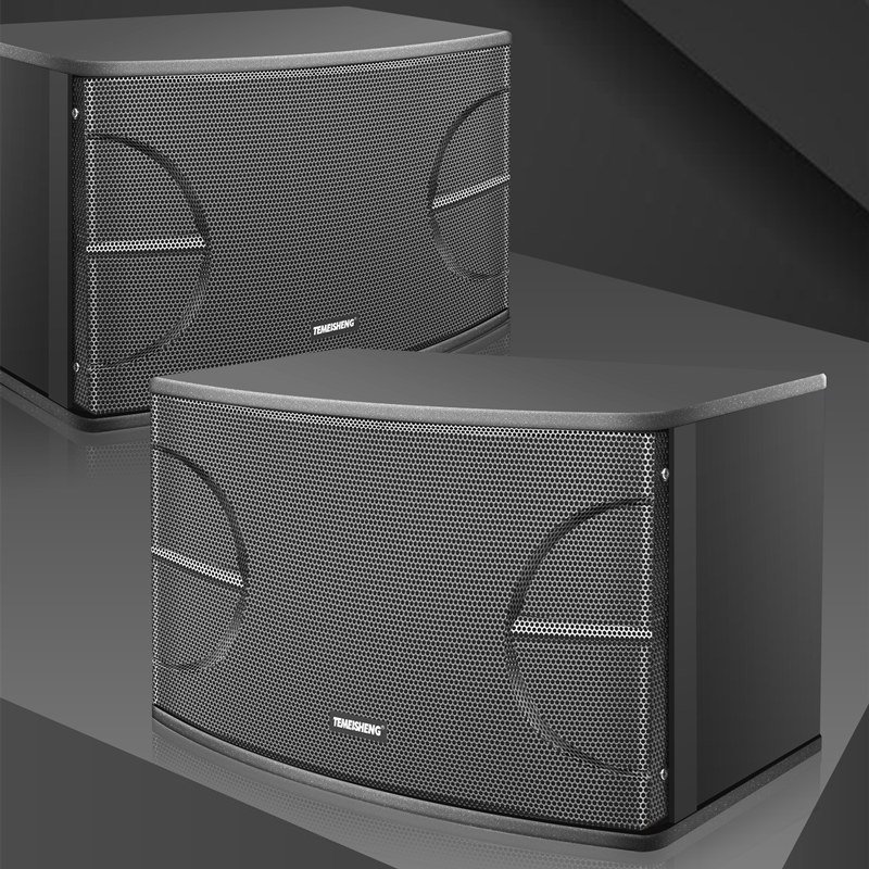 特美声(temeisheng)10-12家庭全套家用会议卡拉ok箱 10-12一对