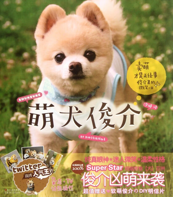萌犬俊介tsy