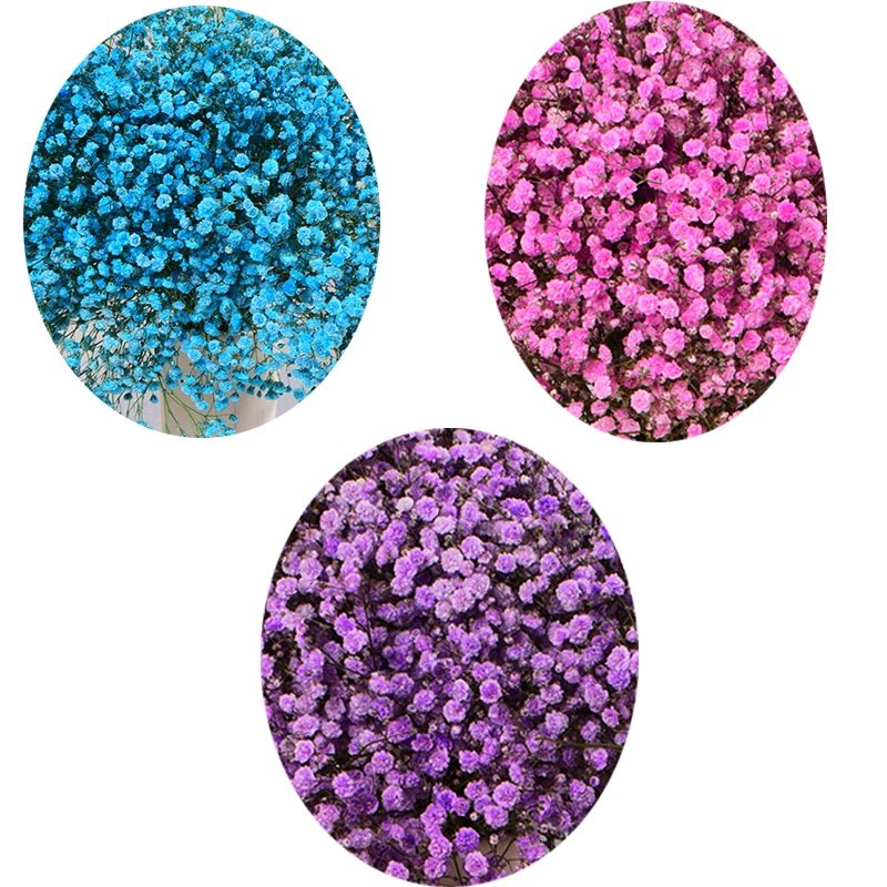 满天星干束大束客厅摆设装饰摆件鲜花瓶diy材料 满天星蓝粉紫各一束