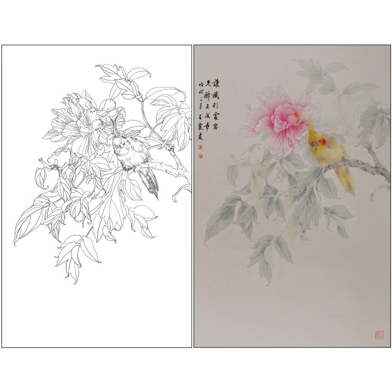 桔舍王震工笔画白描底稿牡丹鹦鹉小品原作大小34*54厘米花鸟线稿带a3