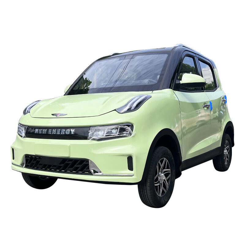 新能源电动四轮车家用电动小型代步4轮汽车女士油电两用 豪华款 60v