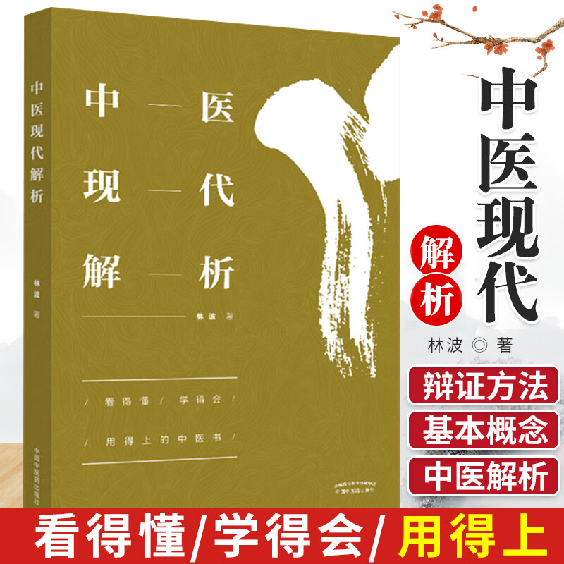 正版正版中医现代解析 林波 主编 9787513258814 中医基本概念解析