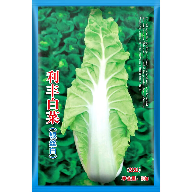 和利农利丰白菜银丝白小快菜种子种籽四季速生青菜蔬菜种孑 利丰白菜