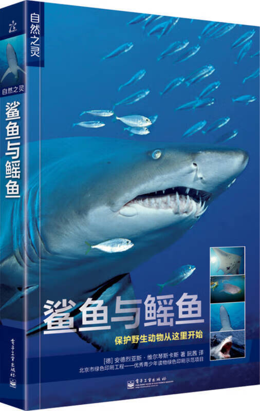 自然之灵 鲨鱼与鳐鱼（全彩）9787121240553【正版好书，下单速发】