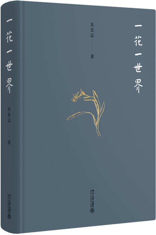 一花一世界朱良志大学出版社9787301314340 艺术书籍
