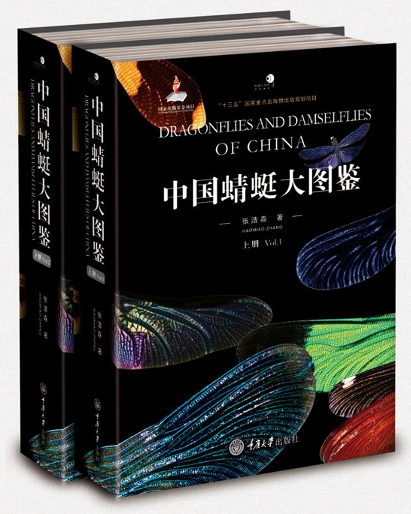中国蜻蜓大图鉴（套装共2册）