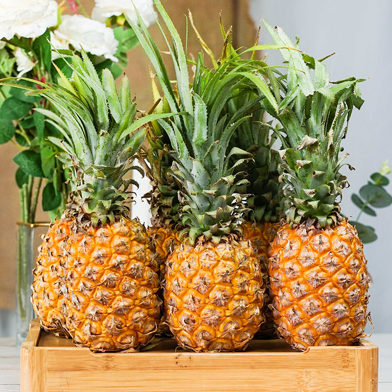 桃李村海南金菠萝新鲜水果当季波萝香水小菠萝酸甜多汁箱装送礼生鲜