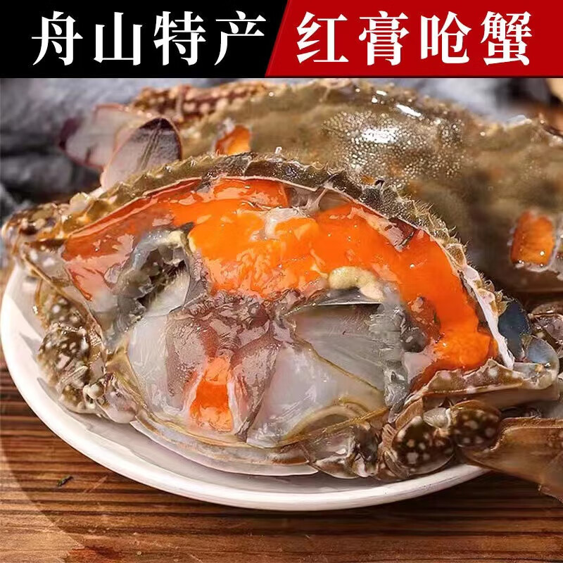浙江舟山红膏呛蟹宁波特产鲜活整只生腌梭子蟹即食飞机膏咸炝蟹 【红