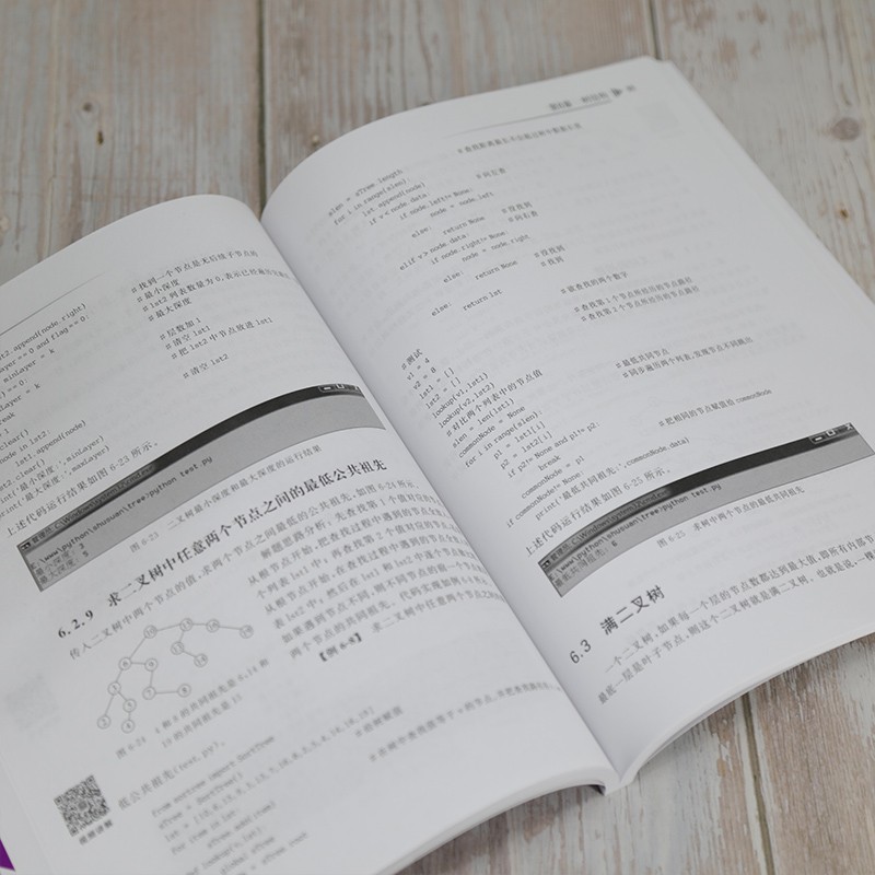 Python算法图解（计算机科学与技术丛书）