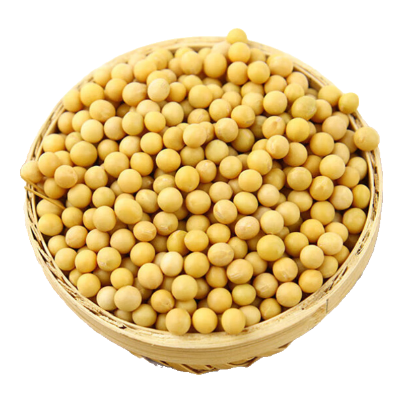 黄豆 东北大豆 可打豆浆 五谷杂粮杂粮粗粮 黄豆500g*1袋