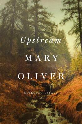 预订 upstream: selected essays