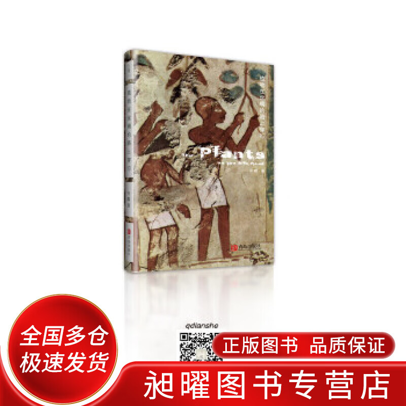植物在丝绸的路上穿行【正版现货】