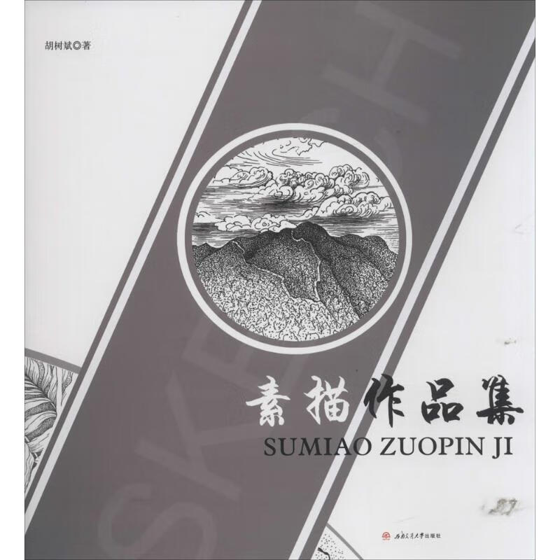 素描作品集 胡树斌 书籍