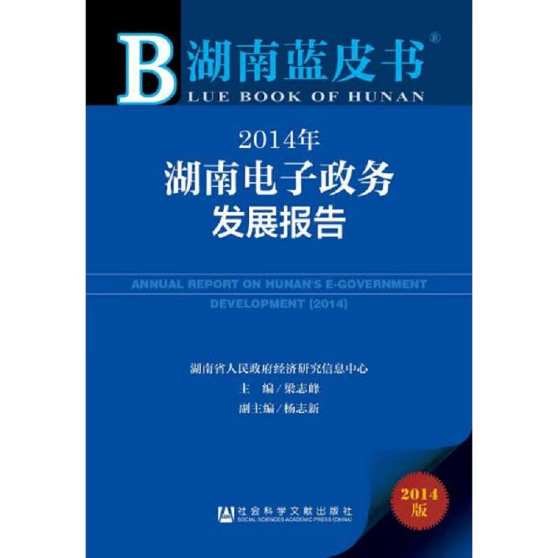 2014年湖南电子政务发展报告
