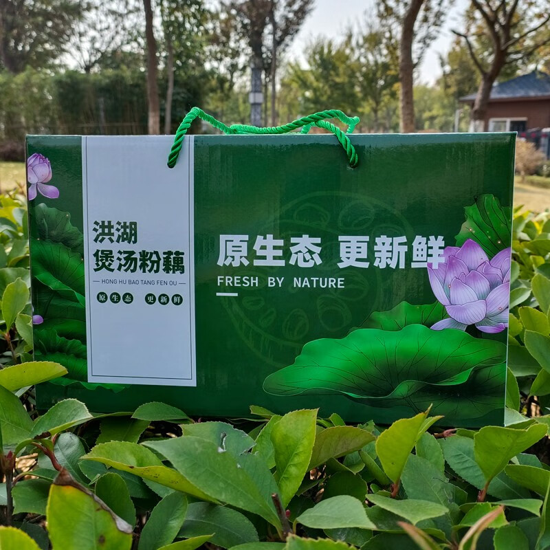 果心榴顺丰正宗湖北洪湖莲藕煲汤粉藕新鲜现挖湖藕汤藕5斤礼盒装 藕王