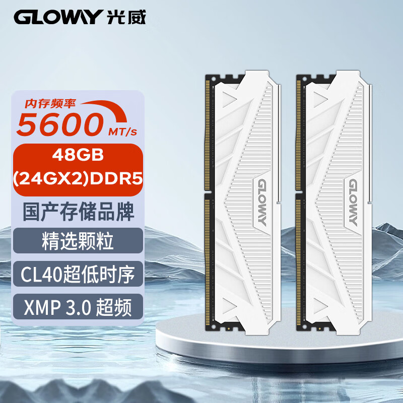 GLOWAY 光威 天策电竞版 DDR5 5600 台式机内存条 48GB(24GBx2)套装