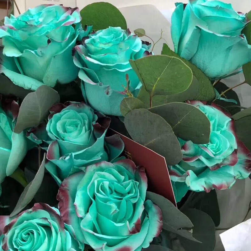 满味园鲜花速递同城配送进口厄瓜多尔薄荷绿玫瑰花束生日礼物创意花束