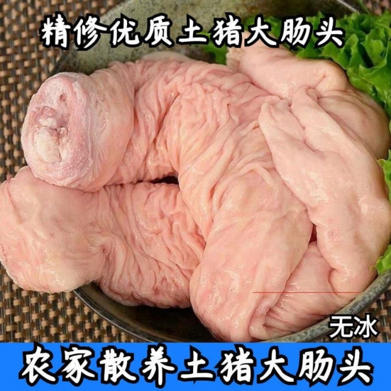 黑土猪大肠头新鲜大肠头肥肠精修大肠少油大肠头鲜猪肉大肠头 现杀