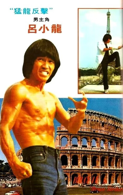 动作攻读电影 凶终 (1982)/猛龙反击dvd光盘 吕小龙黄正利