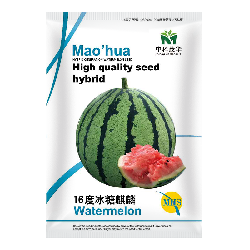 （正常發(fā)貨）中科茂華瓜果種子16度冰糖麒麟西瓜種子超甜8424海南麒麟瓜肉質(zhì)甜脆入口即化薄皮京欣類(lèi) 16度冰糖麒麟10克/袋