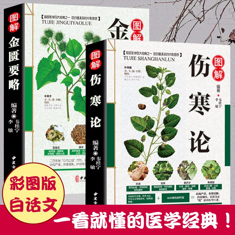 【正版包邮】张仲景医学经典今释通俗讲话讲义伤寒杂病论临床中医医学白话解讲义原版中医入门图解书籍 图解伤寒论+金匮要略共2册张仲景医学经典定价96