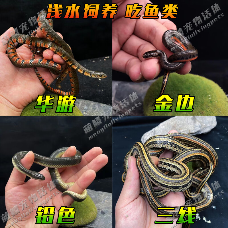 �����߻�������������������ߵ������غ����߱���ѩ��Ҷ����� Ǧɫ/���/����/���ߡ��ɱ�ע��