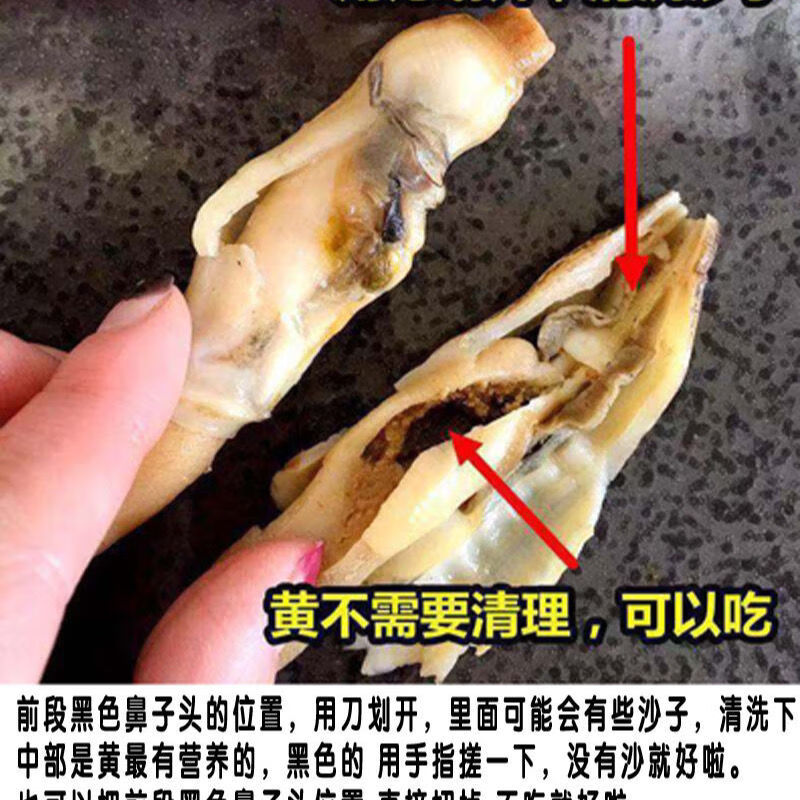 新鲜蛏王肉竹蛏肉蛏子肉现剥手指蛏肉鲜活冷冻大饱满无冰衣 3斤装蛏王
