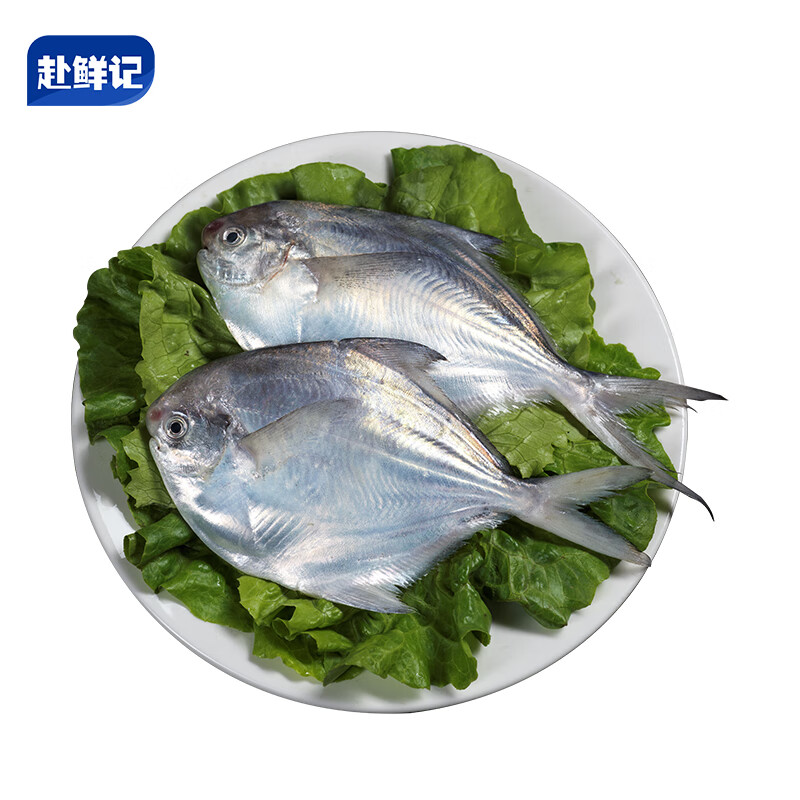 赴鲜记舟山银鲳鱼 300g 2条 白鲳鱼平鱼 国产海鲜水产 地理标志