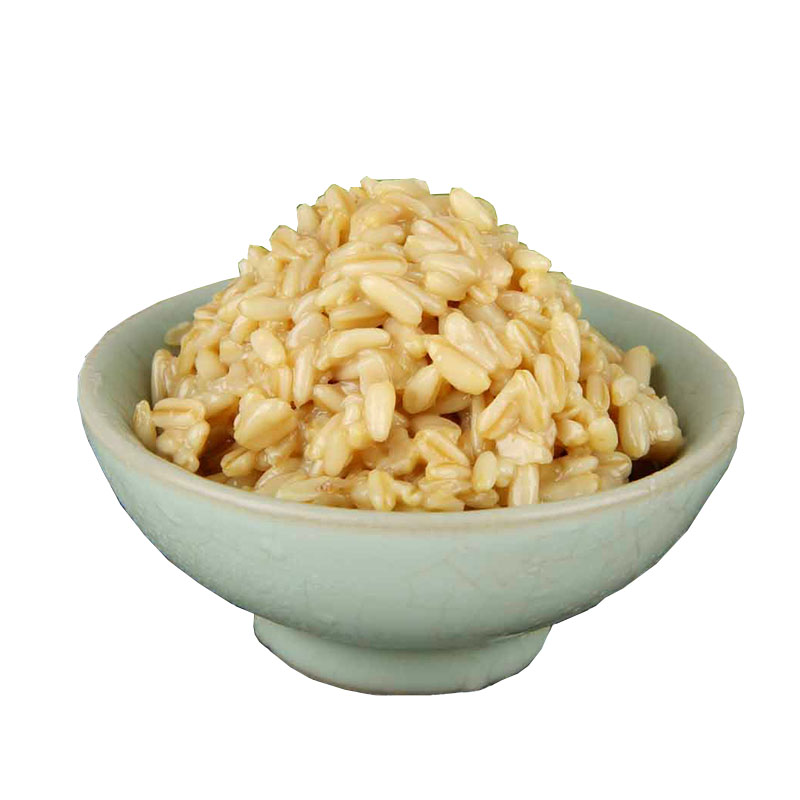 炎良小子甘肃甜胚子兰州天水美食小吃甜醅燕麦酒酿醪糟莜麦甜茶