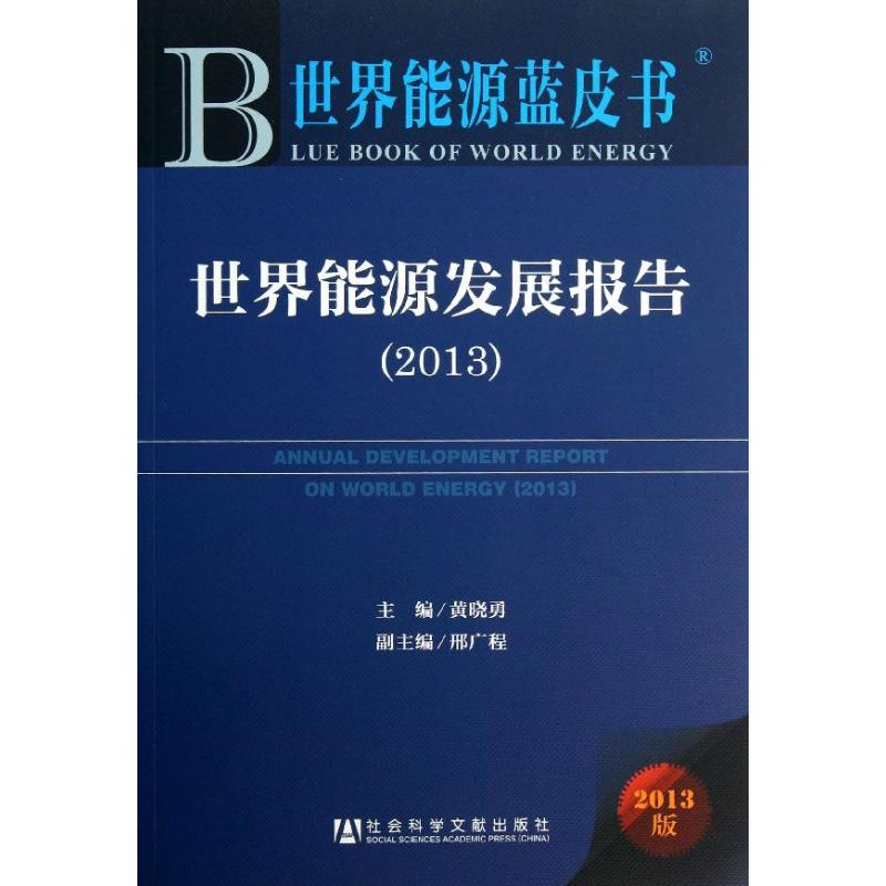 世界能源发展报告 (2013版) 黄晓勇 编 书籍