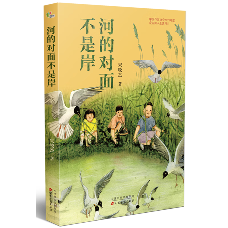 【官方旗舰店】河的对面不是岸 宋晓杰 著 儿童文学
