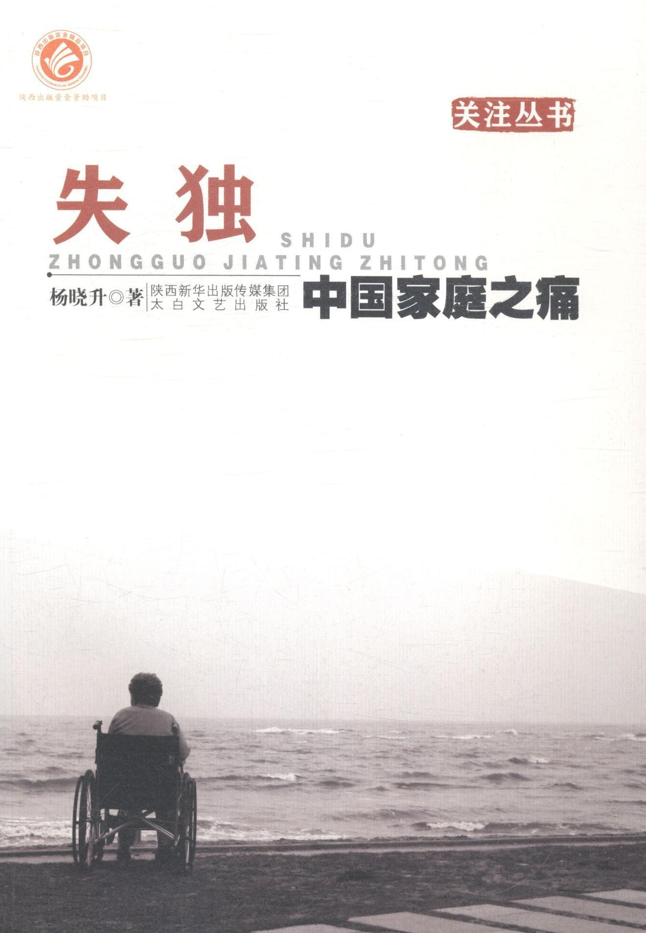 失独-中国家庭之痛社会科学家庭问题研究中国 图书