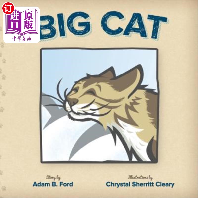 海外直订big cat 大猫