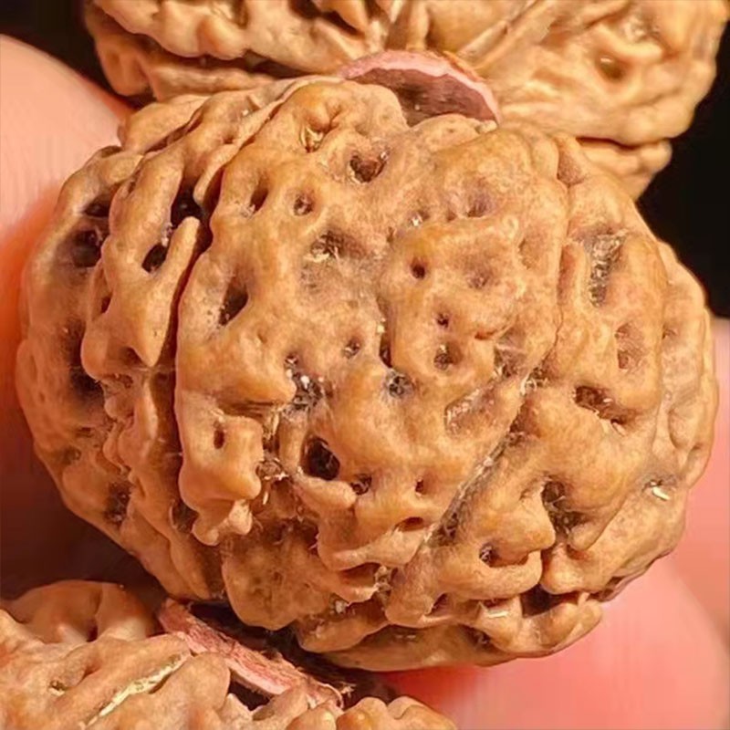 慕木阁正宗六瓣尼泊尔大金刚菩提子手串满肉原籽佛珠男女文玩 mg186 【玩家级】满肉蜜蜡款(21毫米) 【六瓣】