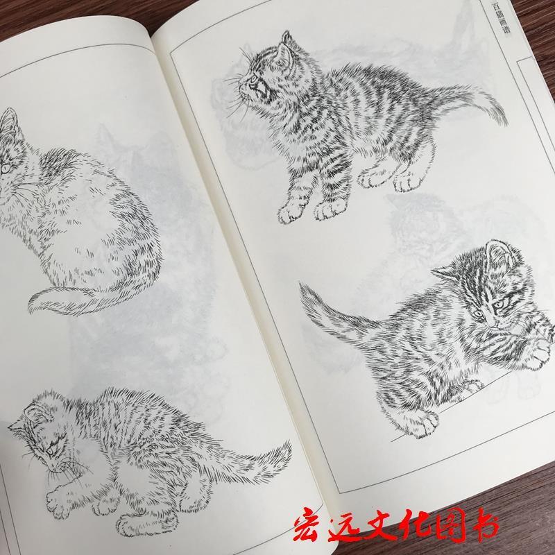 百猫画谱 线描白描画谱 绘画动物白描底稿 工笔底稿中国画线描 猫