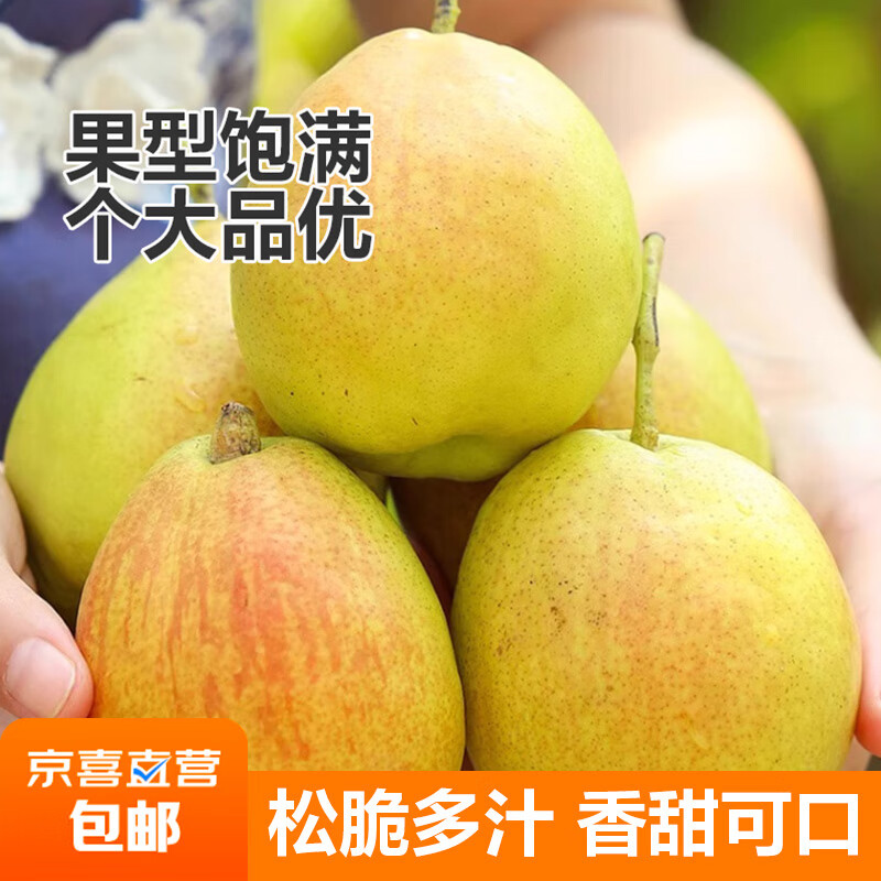 吐蕃遇农新疆香梨当季新鲜梨子水果香梨 带箱9.6-10斤大果