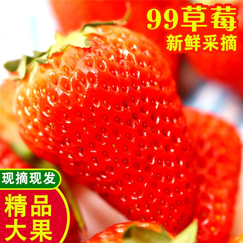 手机草莓价格波动网|草莓价格走势图