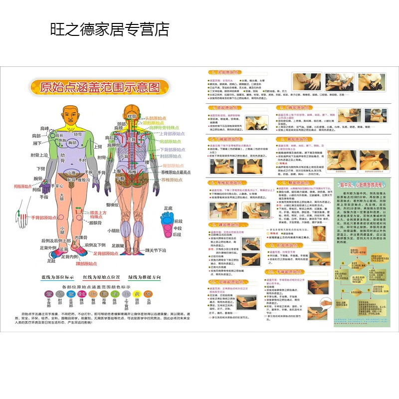 恋品惠推拿医学原始点壁画原始点涵盖范围示意图理疗养生馆装饰画挂图
