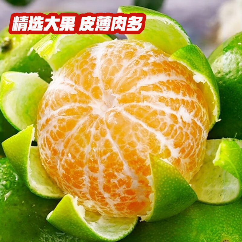 果迎鲜广西皇帝柑 新鲜水果 柑橘 橘子 非武鸣沃柑 酸甜 净果4.5斤 45-55mm