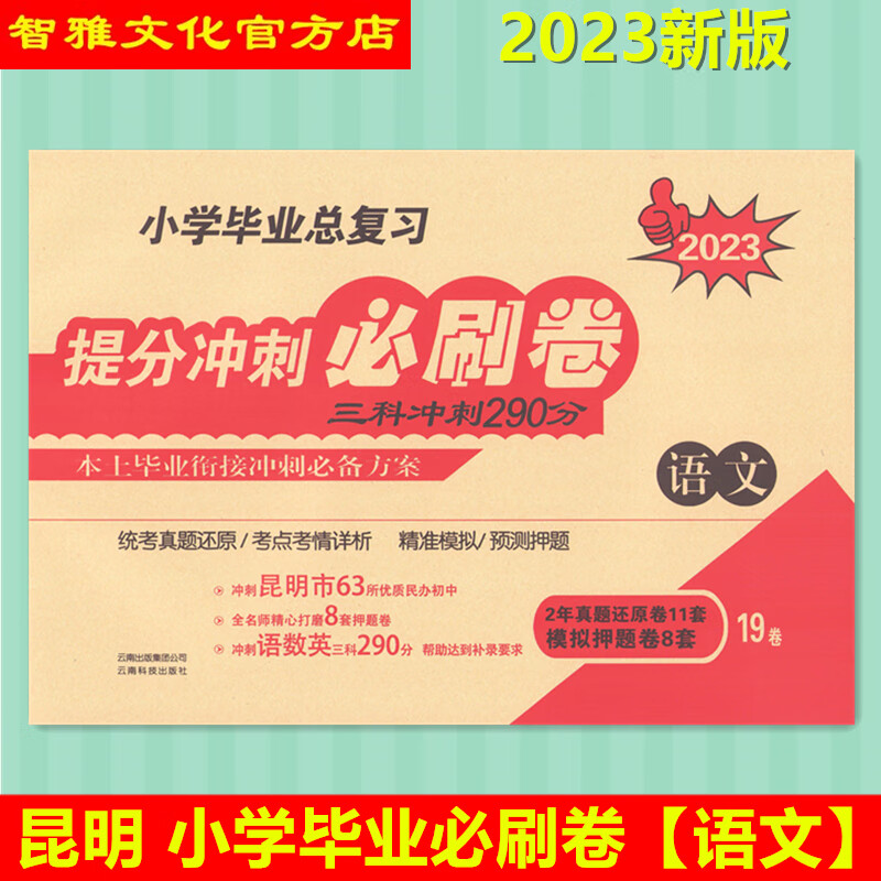 云南昆明市小学毕业总复习提分冲刺必刷卷语文六年级毕业统考试卷
