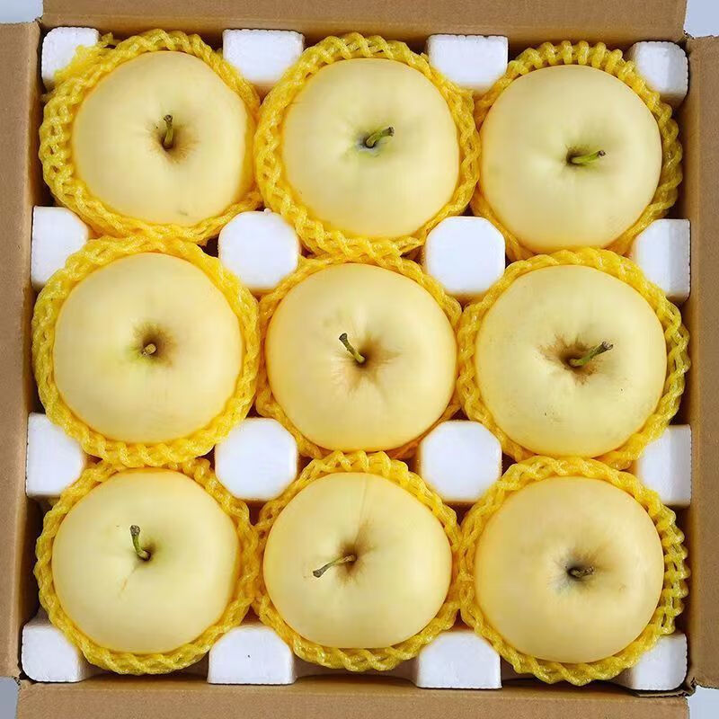 京蚨鲜山东烟台奶油富士苹果黄金苹果新鲜水果脆甜苹果 带箱9-10斤大果【80-85mm】净重8.5