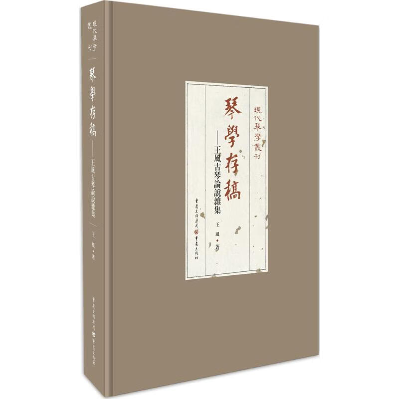 琴学存稿 王风  书籍