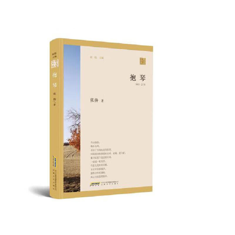 抱琴 张扬 9787539670492 安徽文艺出版社