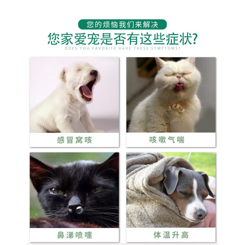 【速发】爱迪森果根素甘胆口服液宠物狗狗犬窝咳猫鼻支止咳糖浆清肺喷嚏咳嗽猫咪板蓝根宠物感冒药 爱迪森果根素100ml