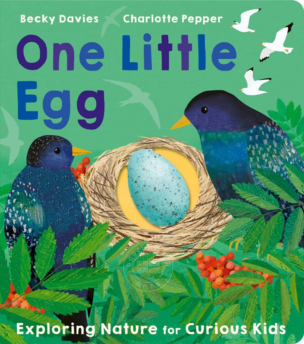 一颗小蛋 儿童科普类读物 英文原版 one little egg