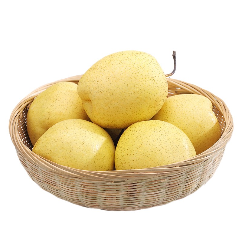 zxc河北雪花梨 赵县冰糖雪梨 新鲜梨子水果  脆甜多汁 5斤中果