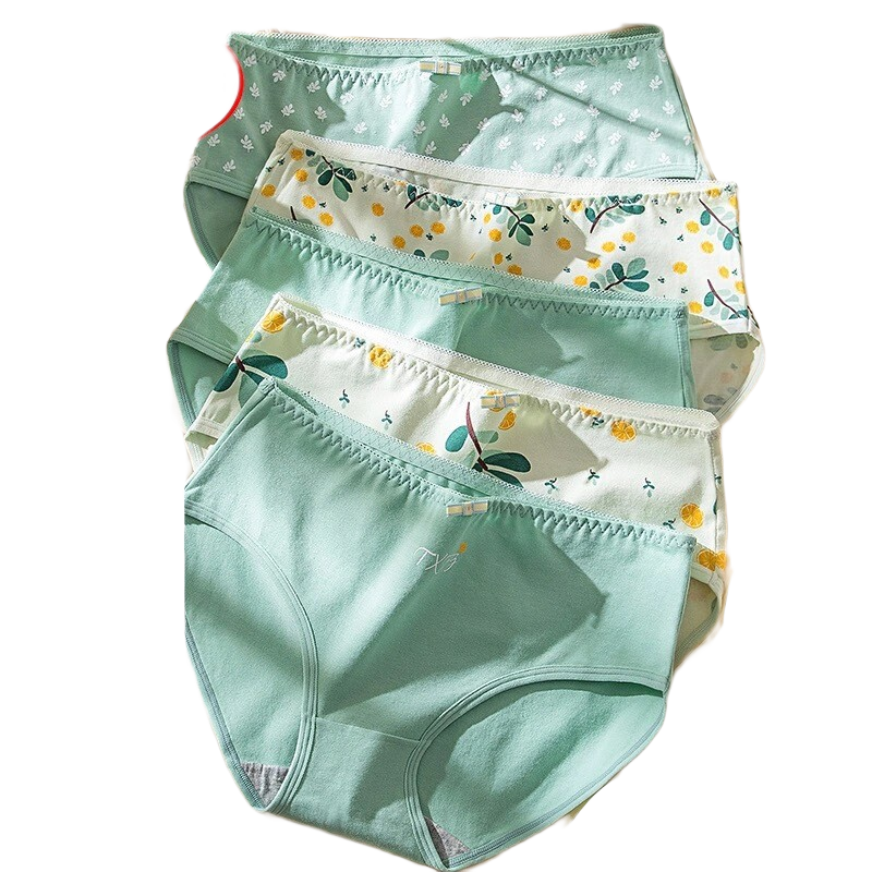 ��ɯ�ڿ�Ů��������Ůʿ�ڿ㴿�޿����޺���������Ů���Ƕ̿� ���¿�100%����/5ɫ��1 L(��2.1-2.3��/95-105��)